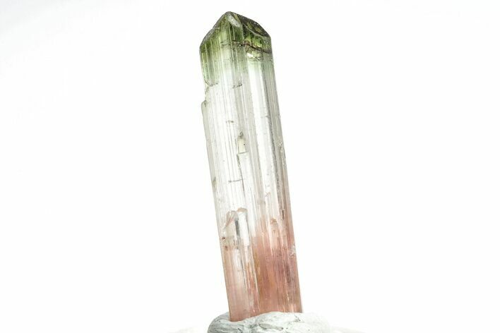Bi-Colored Elbaite Tourmaline Crystal - Rubaya, Congo #206892